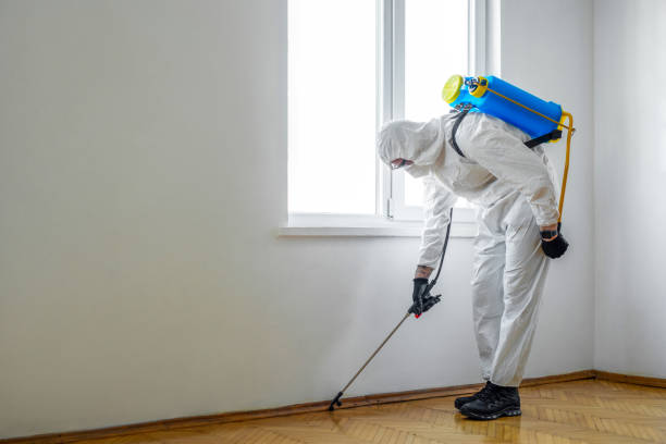 Best Pest Control for Restaurants  in Cohasset, MN