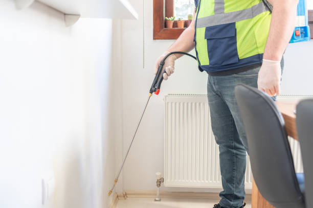 Best Flea Control Services  in Cohasset, MN