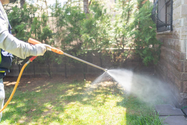 Trusted Cohasset, MN Pest Control Experts
