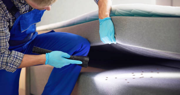 Pest Control for Restaurants in Cohasset, MN